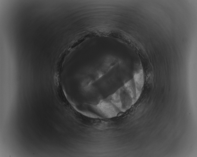 X0000100920772200807151221