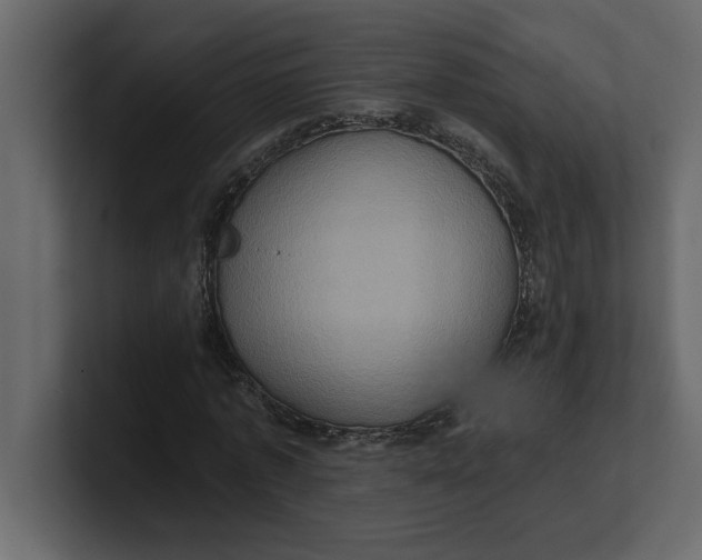 X0000100920773200807151221