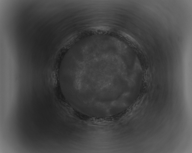 X0000100920774200807151221