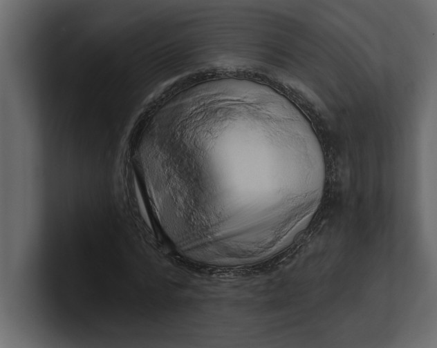 X0000100920776200807151221