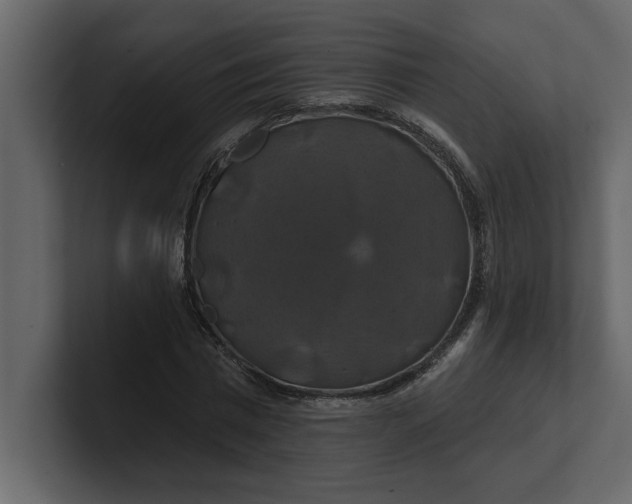 X0000100920777200807151221