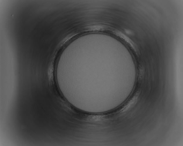 X0000100920778200807151221