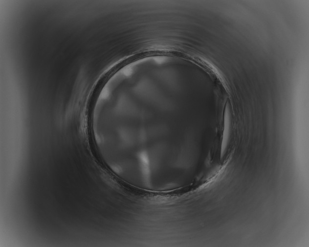 X0000100920779200807151221