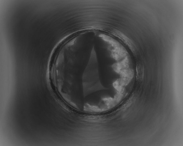 X0000100920780200807151221