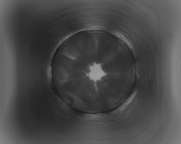 X0000100920781200807151221