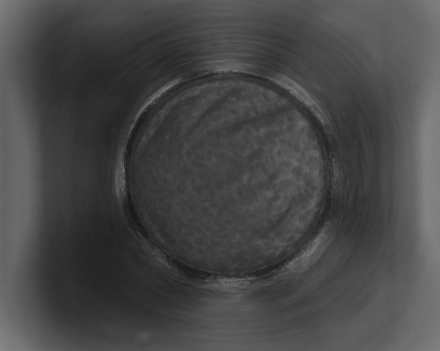 X0000100920782200807151221