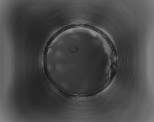 X0000100920783200807151221