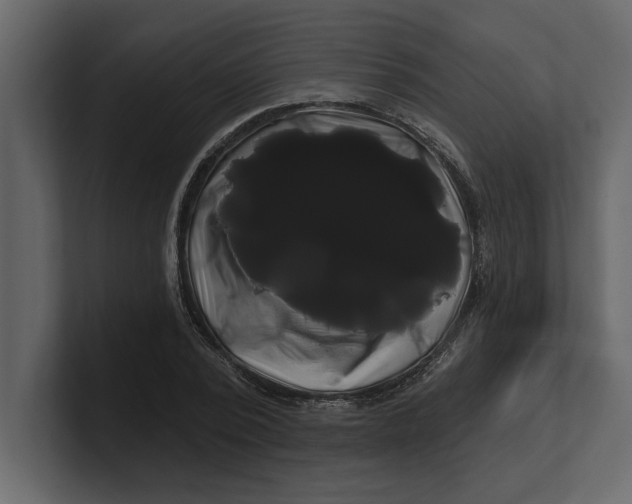 X0000100920784200807151221