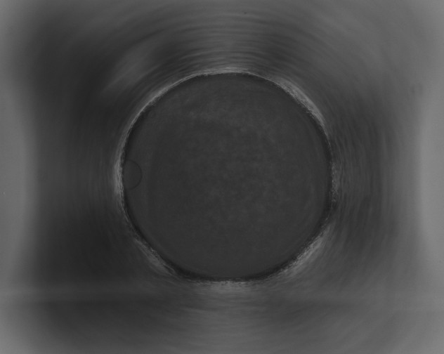 X0000100920789200807151221