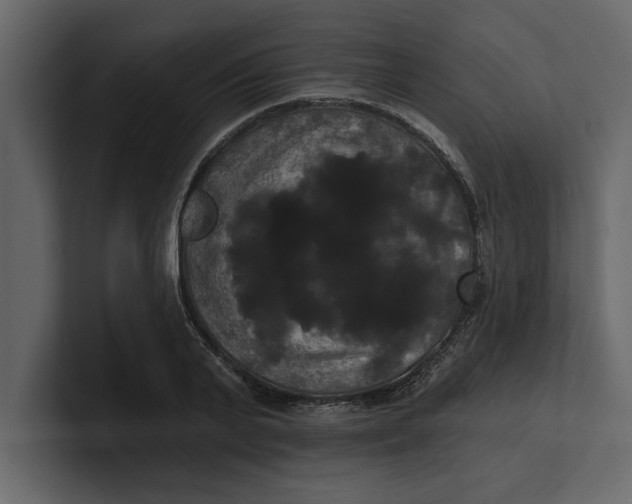 X0000100920791200807151221