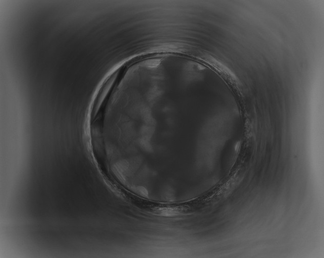 X0000100920792200807151221