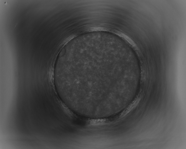 X0000100920793200807151221