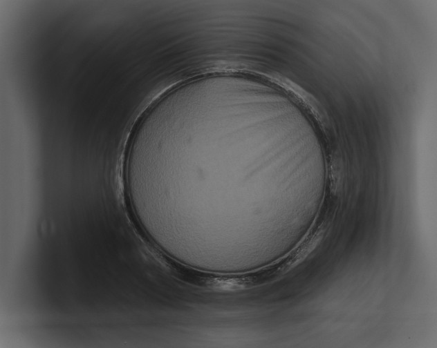 X0000100920794200807151221