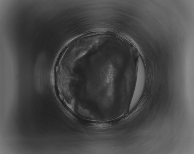 X0000100920795200807151221