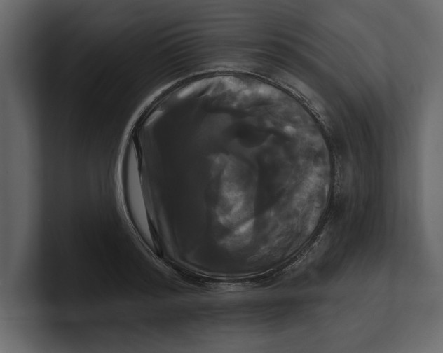 X0000100920796200807151221