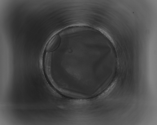 X0000100920797200807151221