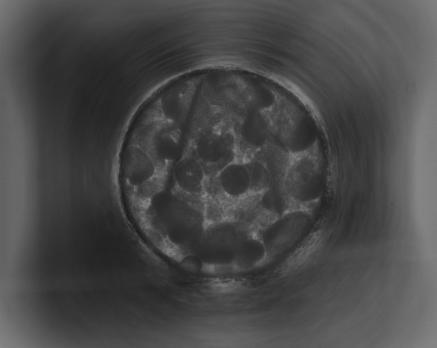 X0000100920799200807151221