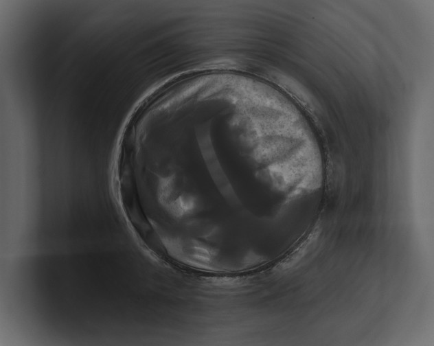 X0000100920800200807151221