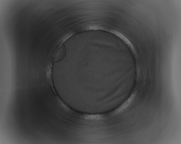 X0000100920801200807151221