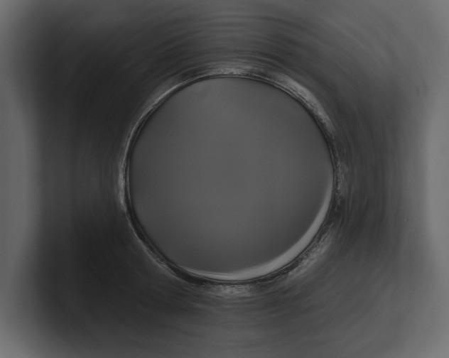 X0000100920802200807151221