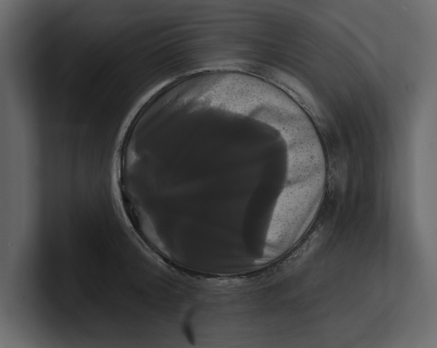 X0000100920804200807151221