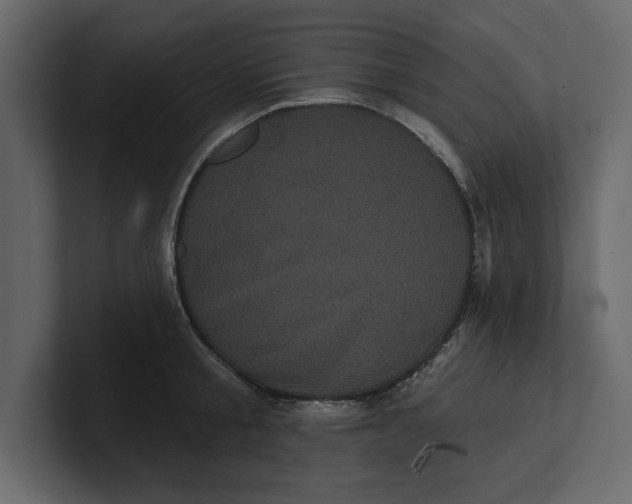 X0000100920805200807151221