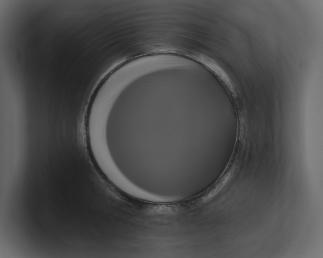 X0000100920806200807151221