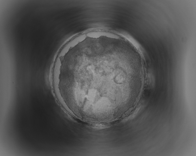 X0000100920807200807151221