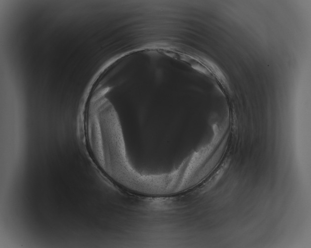 X0000100920808200807151221