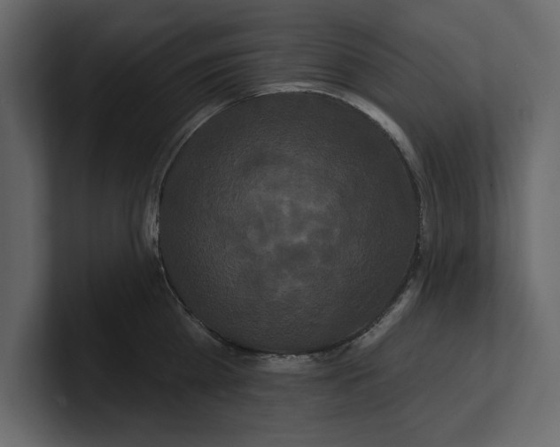 X0000100920809200807151221