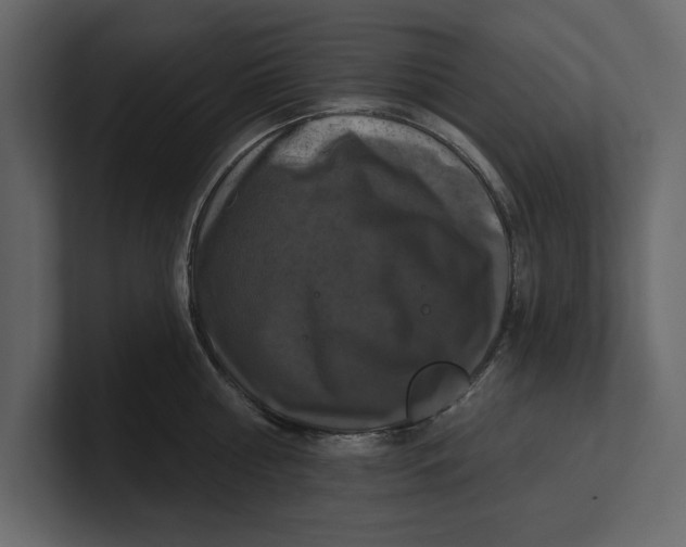 X0000100920810200807151221