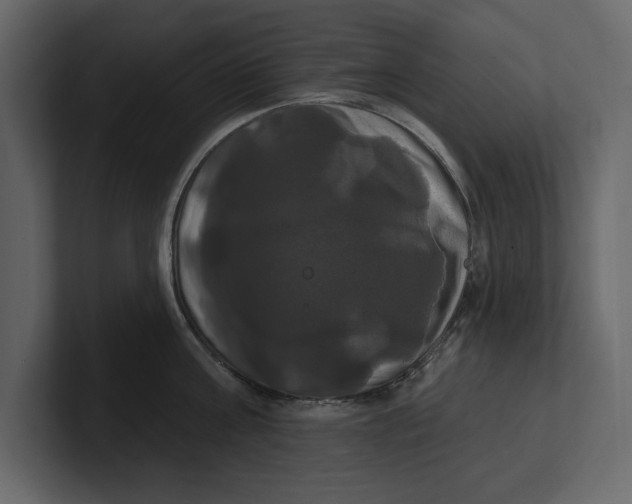 X0000100920811200807151221