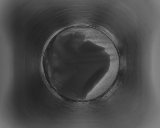 X0000100920812200807151221