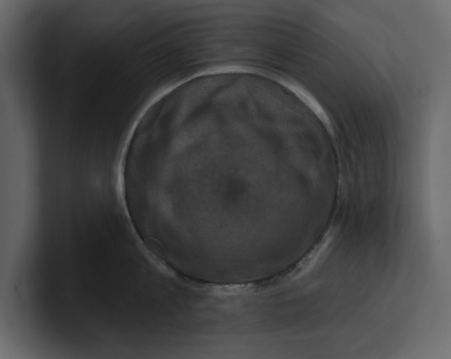 X0000100920813200807151221