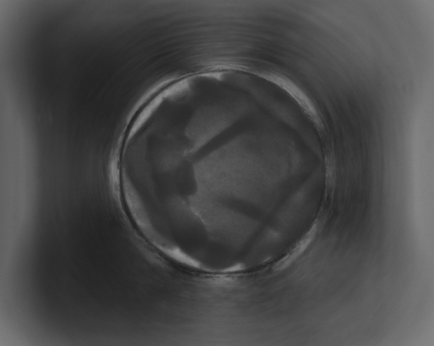 X0000100920814200807151221