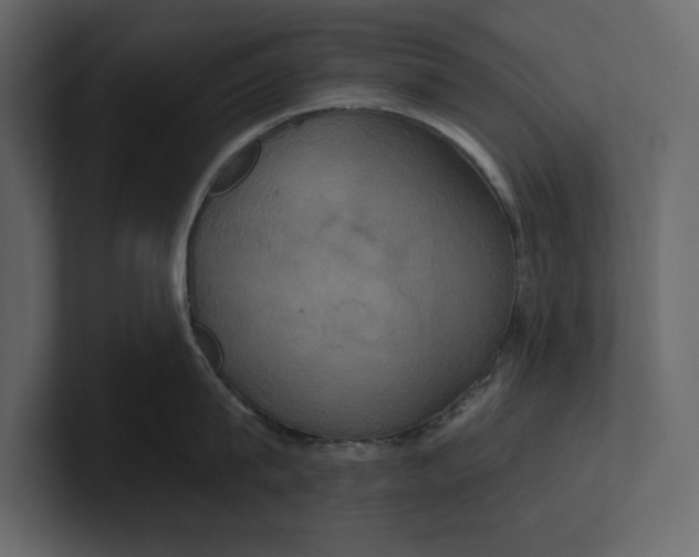 X0000100920815200807151221