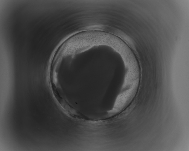 X0000100920816200807151221