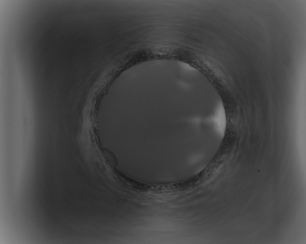 X0000100920817200807151220