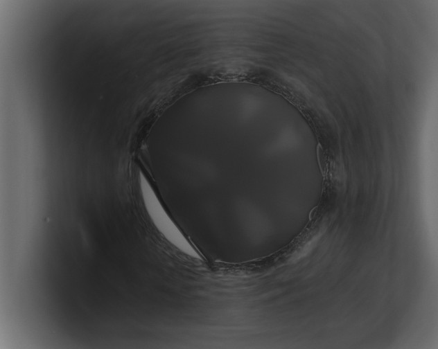 X0000100920818200807151220