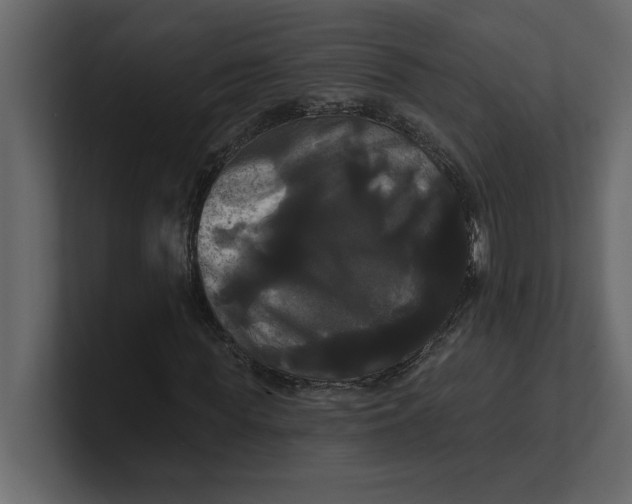 X0000100920819200807151220