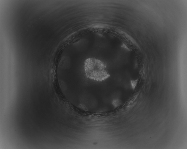 X0000100920821200807151220