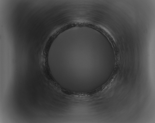 X0000100920823200807151220