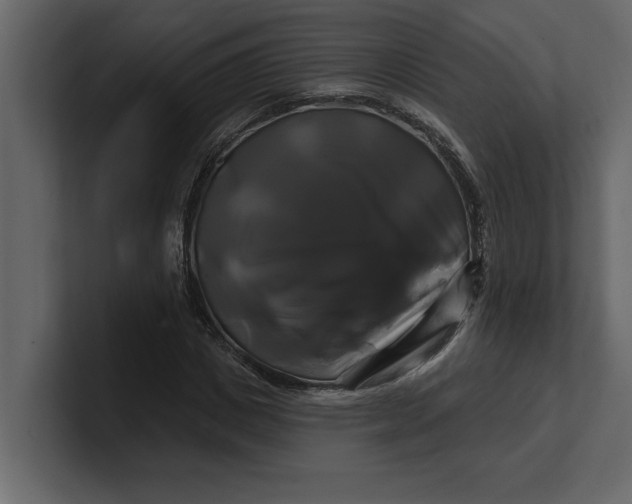 X0000100920825200807151220