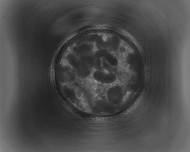 X0000100920827200807151220