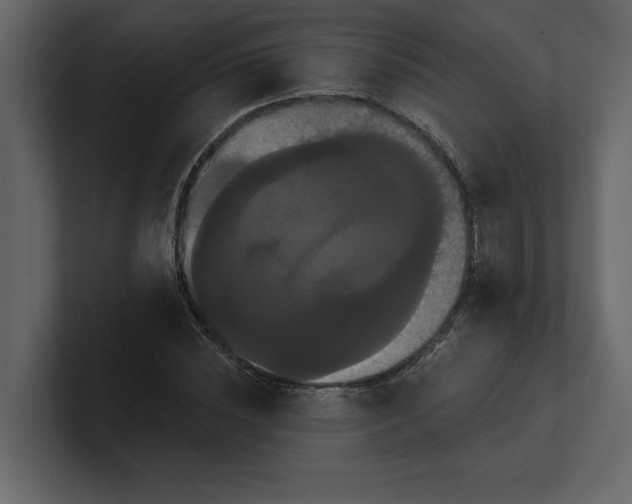 X0000100920828200807151220