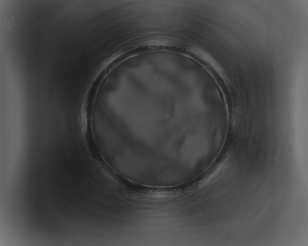 X0000100920829200807151220