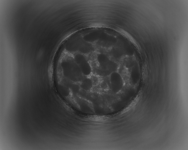 X0000100920831200807151220