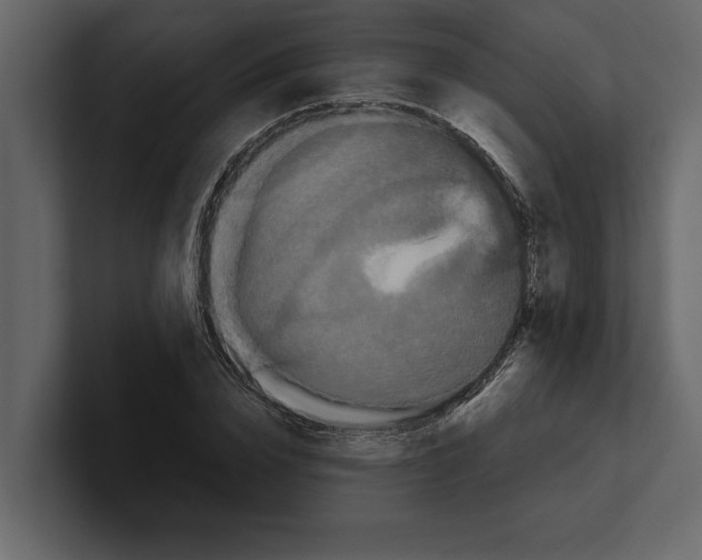 X0000100920832200807151220