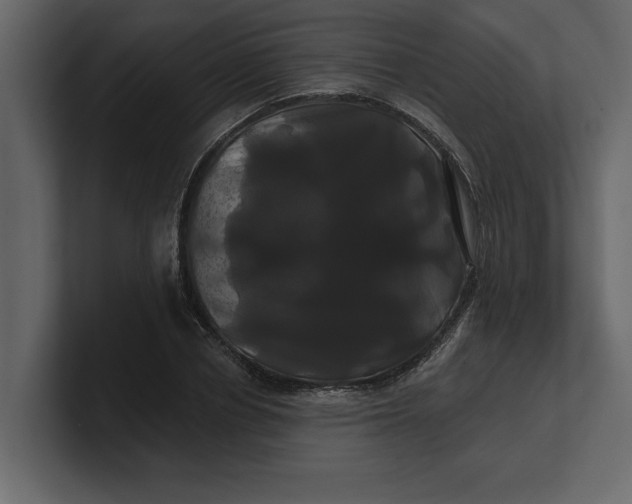 X0000100920834200807151220