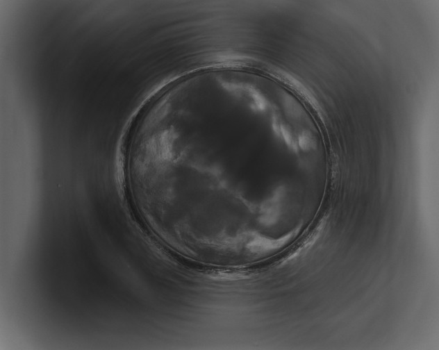 X0000100920835200807151220